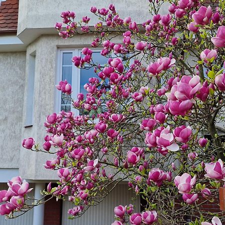 Apartament Magnolia Sopoty Exteriér fotografie