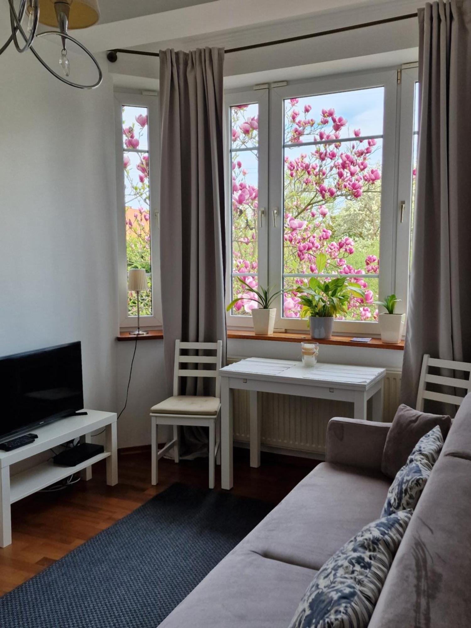 Apartament Magnolia Sopoty Exteriér fotografie